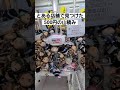 【１回500円の衝撃】某ゲーセンにあった雪崩で大量乱獲してみたwww #short #shorts #クレーンゲーム #UFOキャッチャー #ツイステ #ツイステッドワンダーランド #フロイド