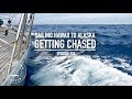 Sailing Hawaii To Alaska - Getting Chased - Ep. 116 RAN Sailing