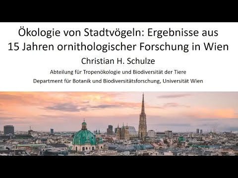 Ökologie von Stadtvögeln: Ergebnisse aus 15 Jahren ornithologischer Forschung in Wien