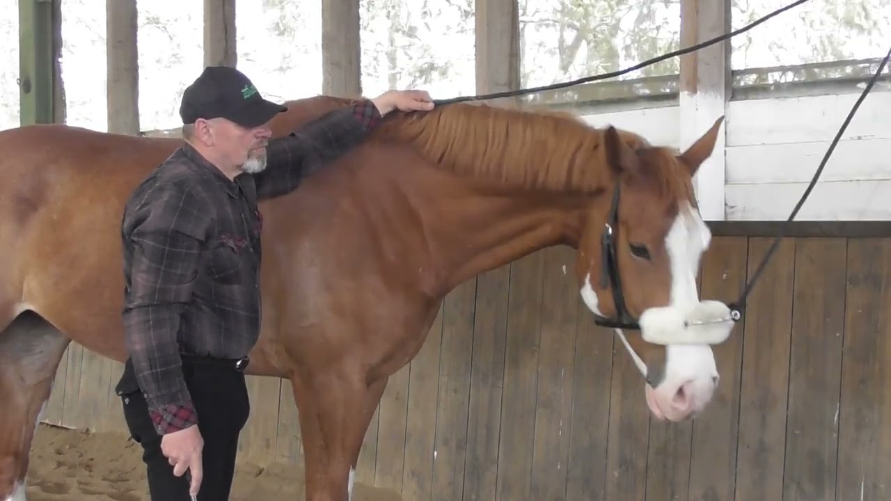 Erfolgsgeschichte Trageerschoepfung