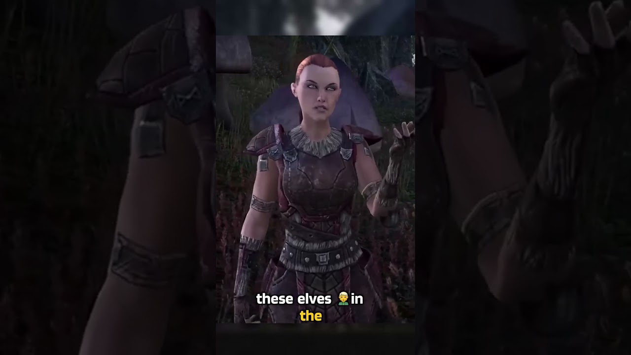 The Nord Art of Polite Pillaging 🪓