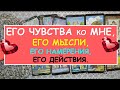 ЕГО ЧУВСТВА КО МНЕ. ЕГО МЫСЛИ. ЕГО НАМЕРЕНИЯ. ЕГО ДЕЙСТВИЯ. Таро Онлайн Расклад Diamond Dream Tarot