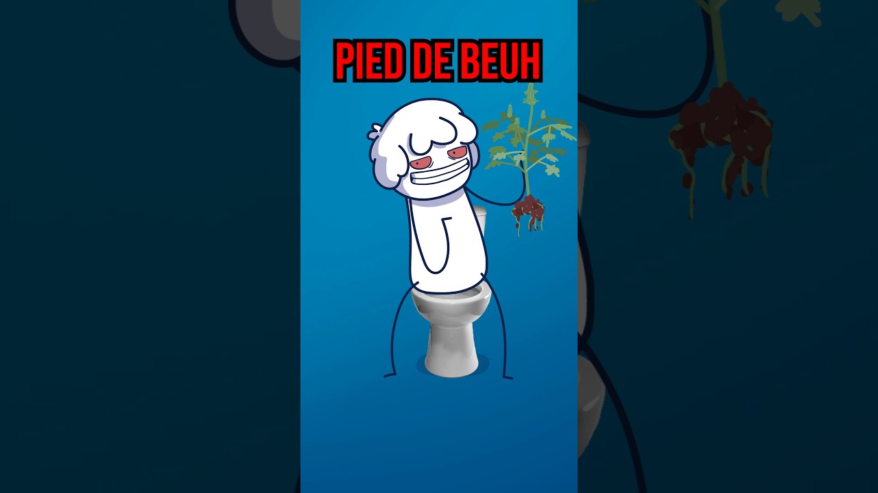 j'ai trouvé une PLANTE 👀 #animation