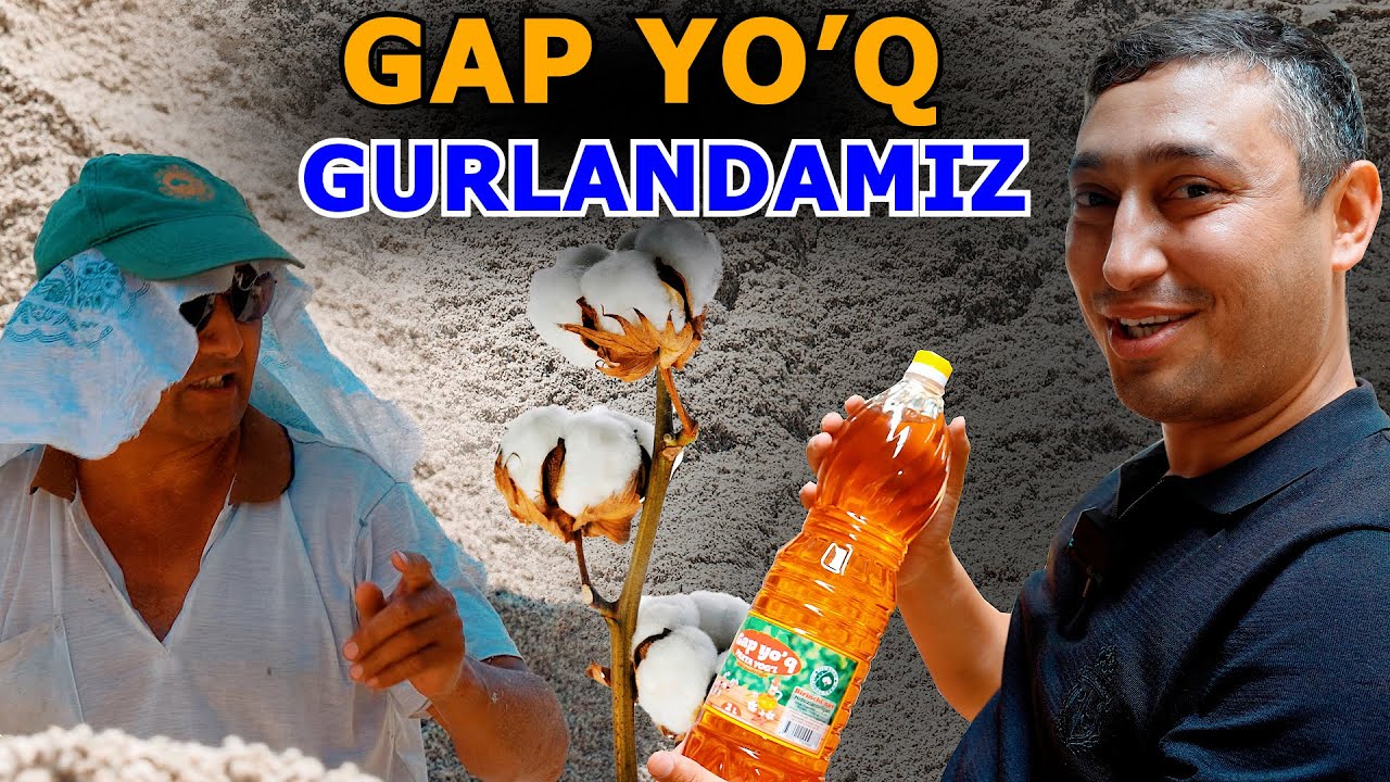 ПАХТА ЁҒИ ҚАНДАЙ ИШЛАБ ЧИҚАРИЛАДИ?