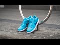 Nike sb dunk low pro blue fury review  onfeet