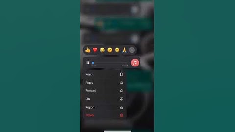 ما تيسر من سورة القصص 58-59 في صلاة المغرب