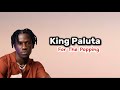 King Paluta For The Popping Lyrics Video mp3