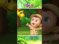 Guess The Animal With Baby Meeko #shorts #kidssong #nurseryrhymes #meekosfamily