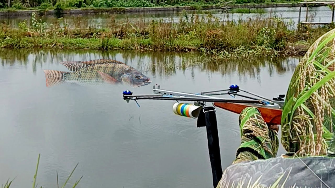 Musim hujan ikan babon pada keluar PASER IKAN NILA SEPOT RAWA