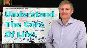 Know The Difference Of Health And Death At The Cellular Level