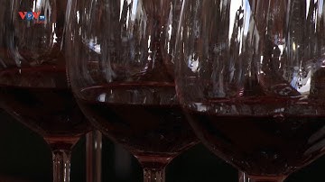 Nghiên cứu cho thấy uống rượu vang đỏ hằng ngày không mang lại lợi ích cho sức khỏe