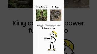 King Cobra vs Python ...... #braingames #challenge #quiz #education