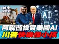 中美能源戰略