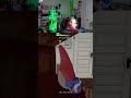 WHO GAVE THIS GNOME A BLICKY???? | #slimeycakess on #Twitch