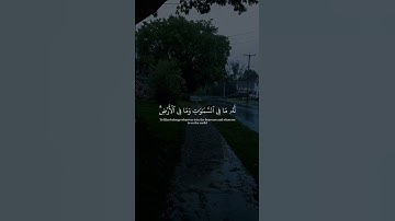 القارئ :- ماهر المعيقلي سورة :- البقرة #قران #قران_كريم #quran #qur49n #سورة_البقره #ماهرالمعيقلي