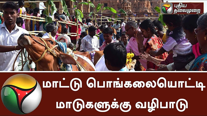 Cows and bulls worshipped on behalf of Maattu Pongal | #Pongal #Pongal2018