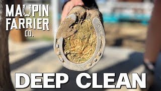 Horse Hoof Deep Clean | Satisfying Restoration | Farrier ASMR | Maupin Farrier Co