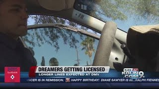 "Dreamers" can get driver licenses