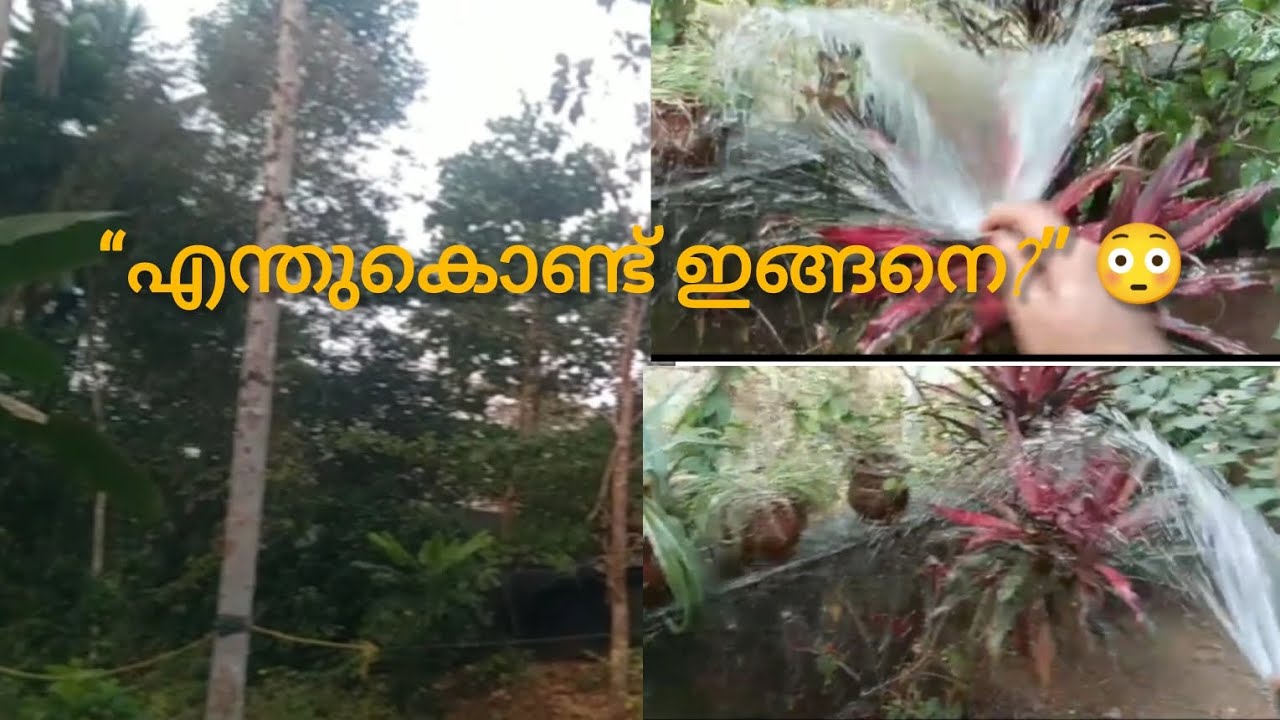 “തളർച്ച പറയാൻ കഴിയുന്ന ഒരേയൊരു സ്ഥലം — സ്വന്തം വീട്”🏠