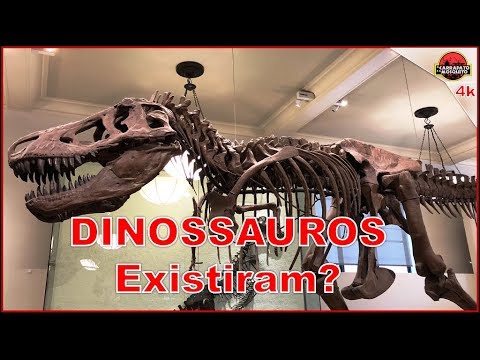 Vídeo: Esqueletos de dinossauros. Museus com esqueletos de dinossauros