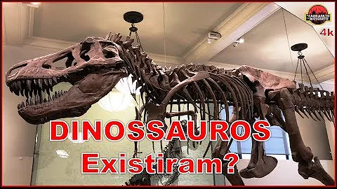 Como você acha que os pesquisadores reconstituem?