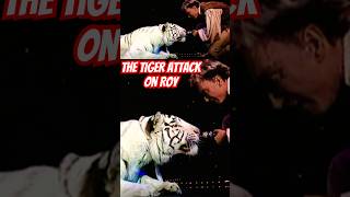 The Siegfried And Roy Incident #whitetiger #tiger #shorts