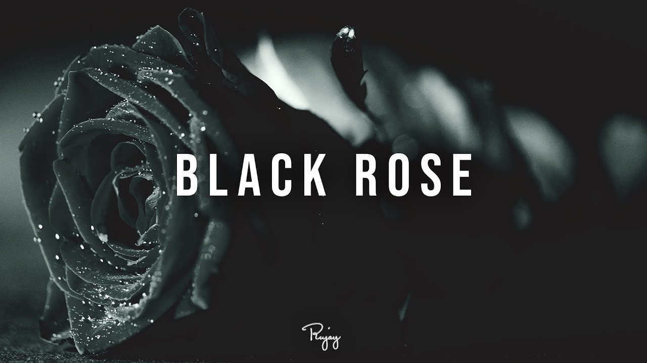 Black Rose\