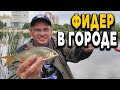 Фидер и Окунь. Как полосатые на Дядю Фёдора напали!