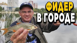 картинка: Фидер и Окунь. Как полосатые на Дядю Фёдора напали!