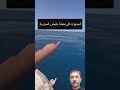 بانياس السورية وظهور مياة عذبه في البحر المتوسط  اكسبلور بحر ترند معلومات