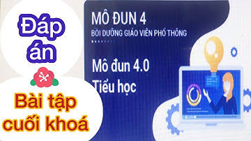 ĐÁP ÁN BÀI TẬP CUỐI KHOÁ MÔ ĐUN 4 BỒI DƯỠNG GVPT - MÔ ĐUN 4.0 TIỂU HỌC | Phương Vy Channel