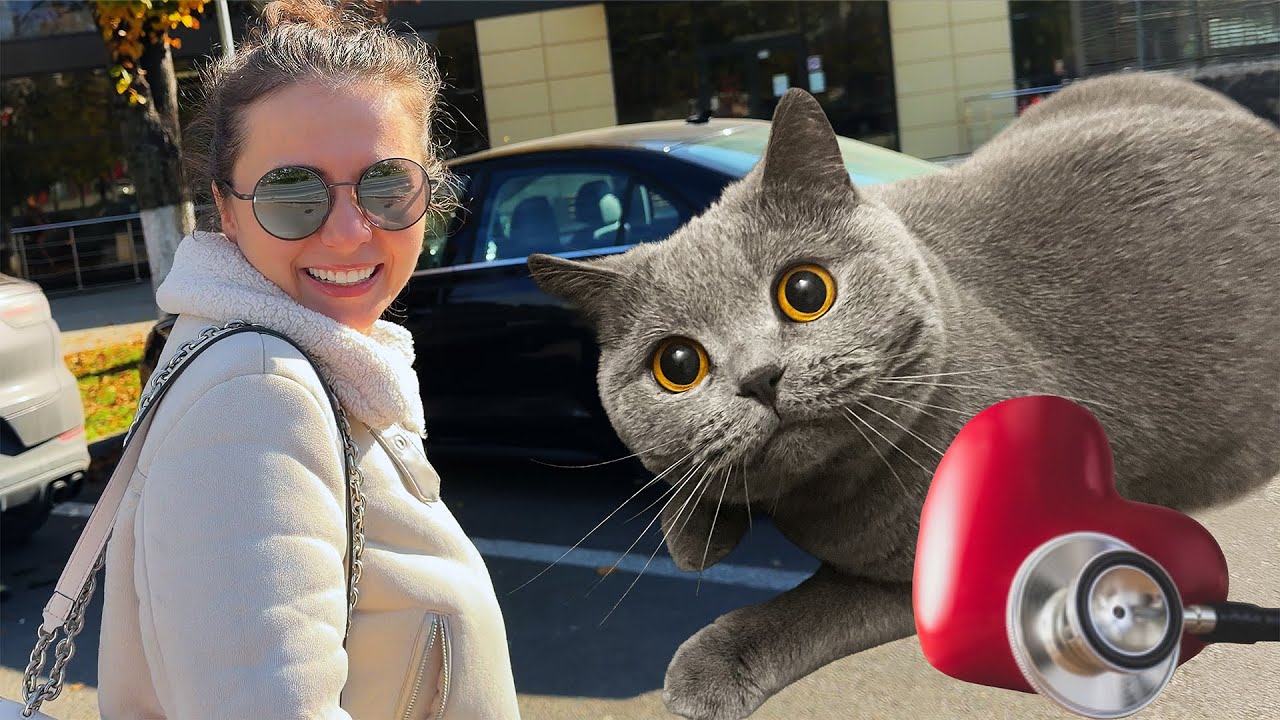 La Vet cu Mia | Mancam peste in rola si Curatenie