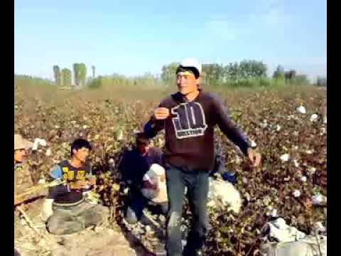 Video: Qanday Qilib Salqin Ko'cha Raqqosasi Bo'lish Mumkin