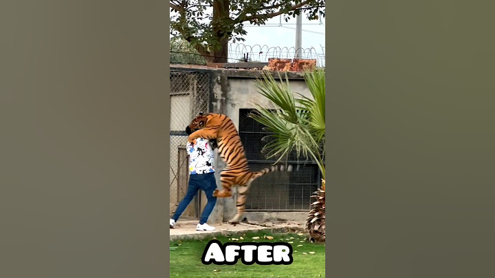 You Can Keep Bengal Tiger as Pet | Nouman Hassan |