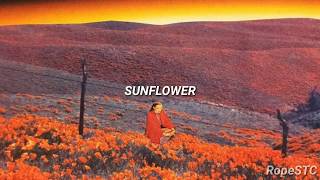 Post Malone \& Swae Lee - Sunflower (Subtitulada en español)