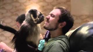 Super Bowl 50 - Mountain Dew: 'Puppy Monkey Baby' (2016)