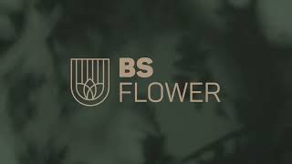 BS Flower | BSPAR - Acompanhamento de obra janeiro / fevereiro