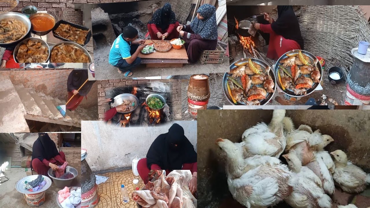 حماتي جت على غفله وانا بعمل البصاره زعقت وفرجت الشارع عليا جريت واتكفيت وادتها الفراخ البيضاء تذبحها