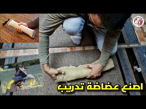 فيديو: أين تصنع عضاضة مونجاكس؟