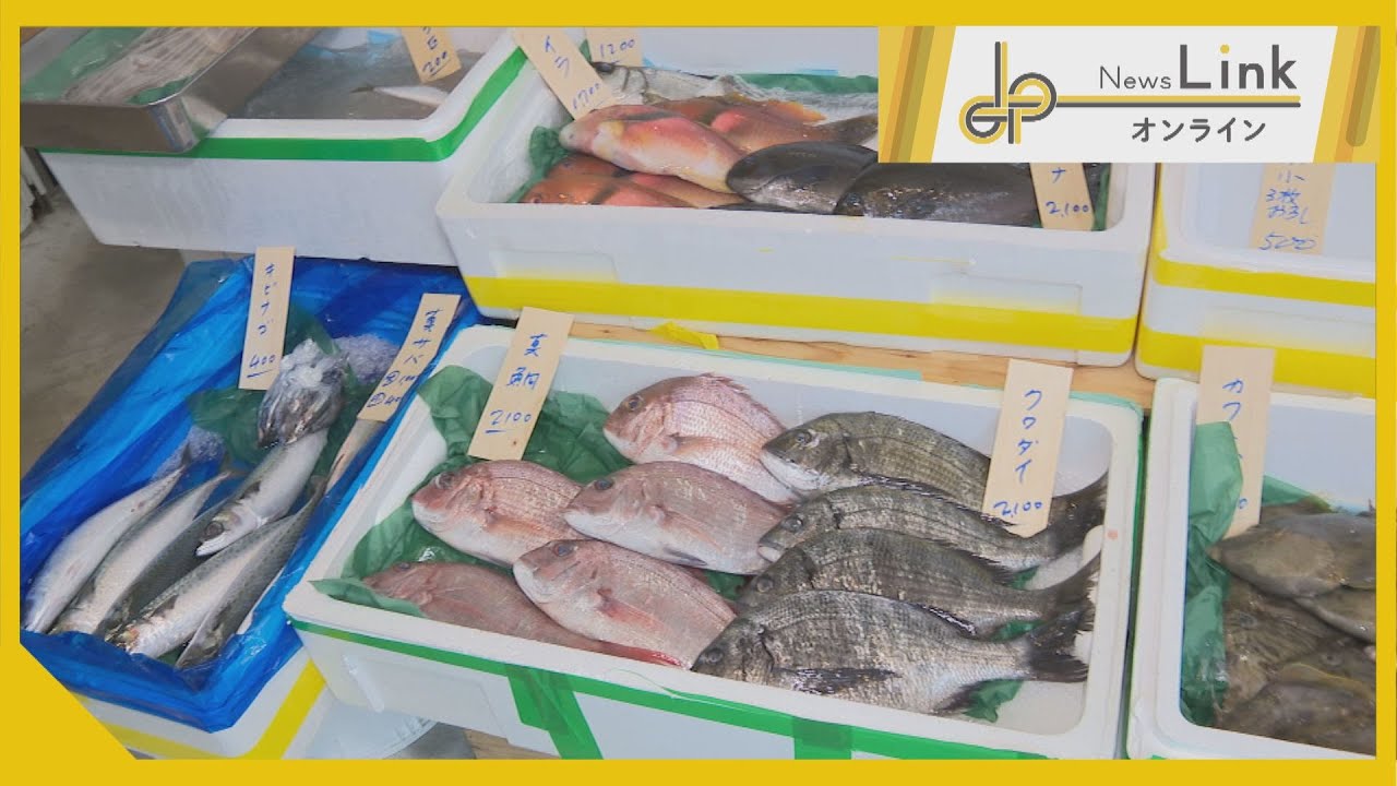 高齢化地域の課題解消へ　鎌倉に「鮮魚店」オープン【News Linkオンライン】