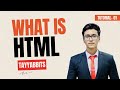 What is HTML? A Beginner's Guide to Web Pages &amp; Key HTML Terms | HTML Tutorial #1