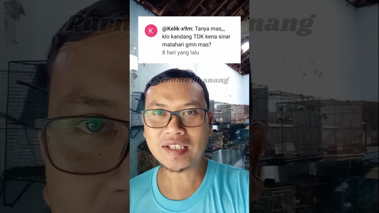 Apakah kandang finch harus terkena sinar matahari?   