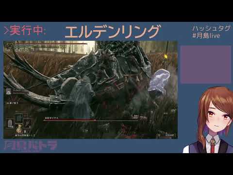 ハザマノチデスヒマワリ【エルデンリングDLC】