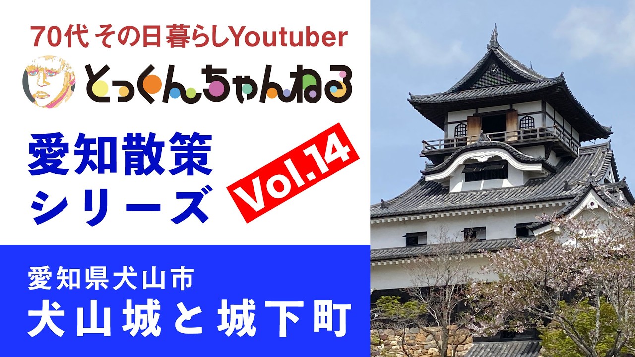 城と城下町 彦根城 (図説 日本の城と城下町⑦) | 母利 美和 |本 | 通販 | Amazon