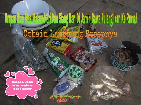 umpan-mancing-ikan-mas-malam-hari