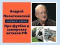 Андрей Пионтковский про футбол и заморозку активов РФ