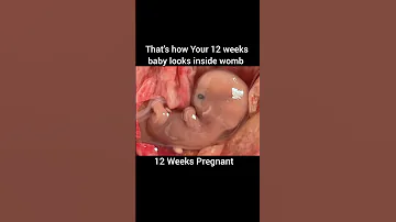 12 Weeks Pregnant 12 Weeks Baby Babydevelopment 12weeks Babyinside 