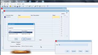 Customer Item Cross Reference