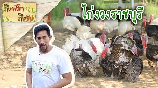 ไก่งวงราชบุรี I ถึงพริกถึงขิง 23-11-18