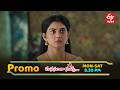 చంద్ర విషయంలో సింధు తెలివితేటలకు పరీక్ష..! | Manasantha Nuvve |  Mon -Sat @ 8 :30 PM